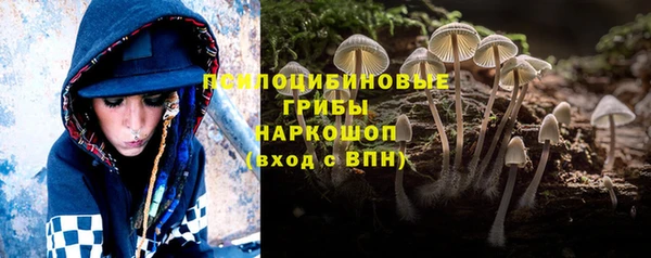 MESCALINE Инсар