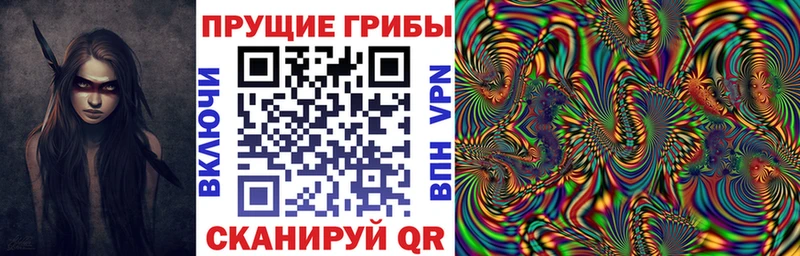 Галлюциногенные грибы Psilocybe  Купить закладки  Калязин 